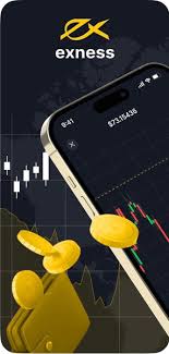 Comprehensive Guide to Exness Forex Broker