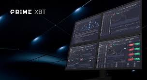 Understanding PrimeXBT Forex Website for Optimal Trading Experience