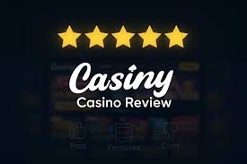 The Ultimate Guide to Casiny Login 25
