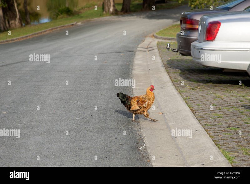 Conoce el Juego de la Carretera de Pollo en línea en España, chicken road online