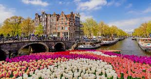 Goeie Koeien Een Traditie van Kwaliteit 330706473 Goeie Koeien Een Traditie van Kwaliteit 330706473
