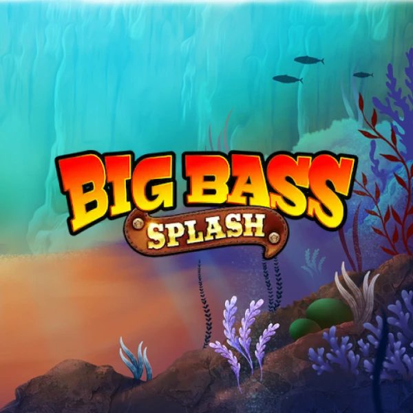 Overview of big bass splash