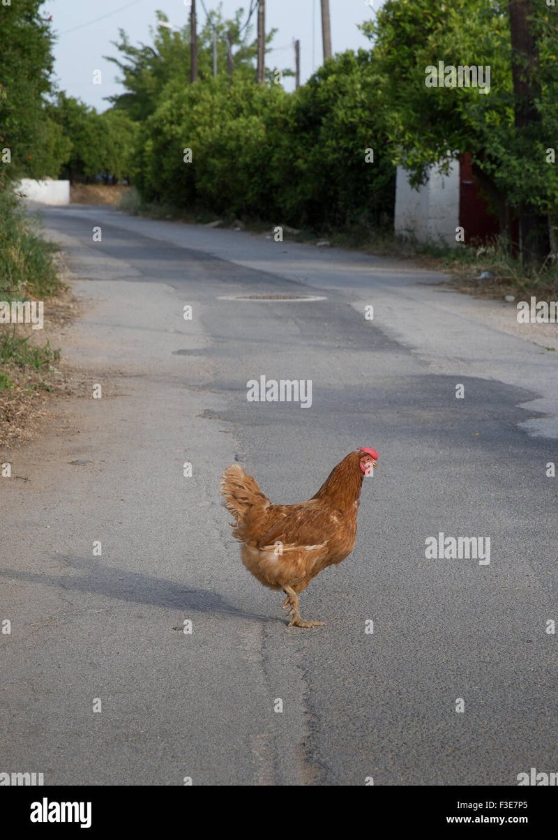 Descubre la Emoción del Juego en la Carretera del Pollo en España, chicken road