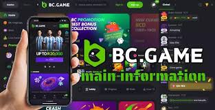 Understanding BC.Game Withdrawals A Detailed Guide