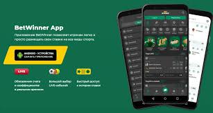 Understanding BetWinner's Privacy Policy Your Data Rights
