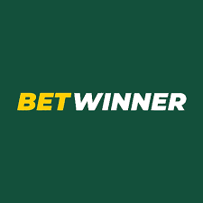 Understanding BetWinner's Privacy Policy Your Data Rights